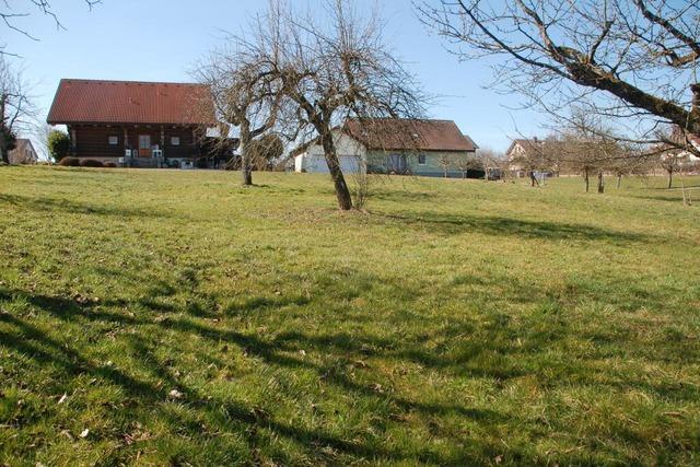 Rheinfelder Sozialausschuss lehnt Kindergartenbetreiber ab