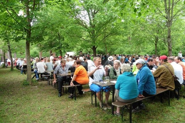 Zwei Vereine aus Schwanau und Neuried drfen nicht mehr im Rheinwald feiern – die Natur geht vor