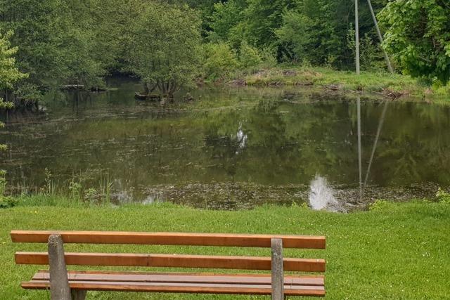 Friedenweiler Rte suchen mgliche Stellpltze fr Wohnmobile in Rtenbach
