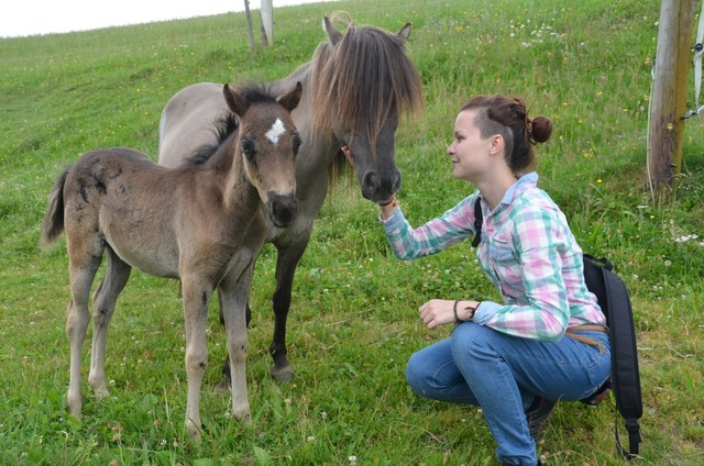 Die Pony sind oft die Lieblinge der Feriengäste auf dem Reeshof. | Foto: Tanja Bury Die Pony sind oft die Lieblinge der Feriengäste auf dem Reeshof. | Foto: Tanja Bury