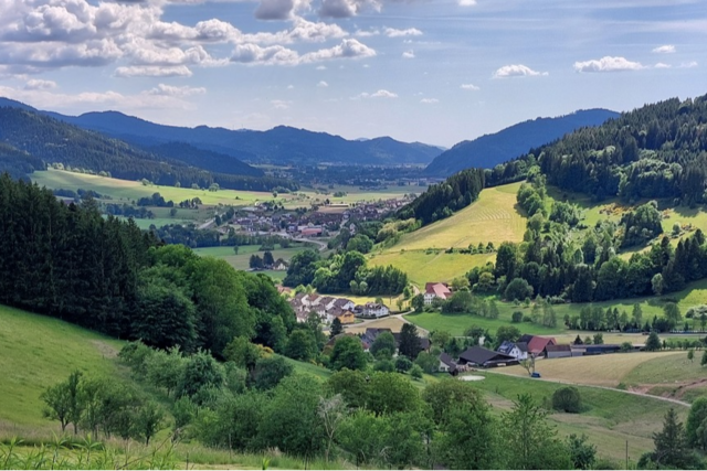 Rund um Katzenmoos gibt es einen neu gestalteten Panoramaweg