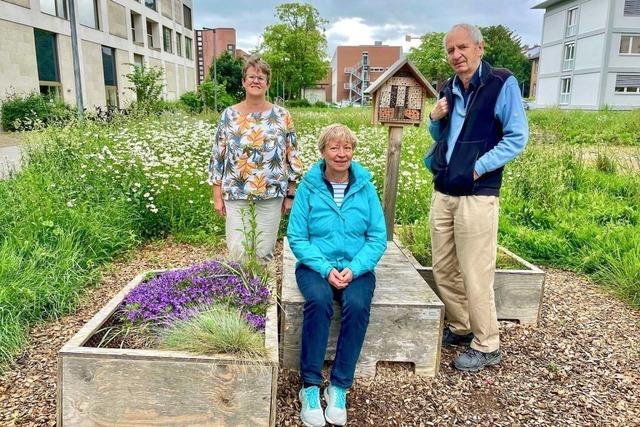 Lrrach hat ein umfangreiches Programm zur Gartengestaltung vorbereitet