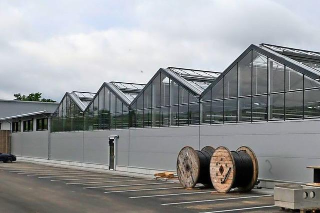 ZG Raiffeisen Markt geht an den Start