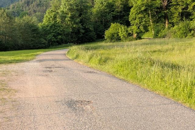 IG Velo Wiesental beklagt Zustand des Radwegs zwischen Schnau, Wembach und Frhnd