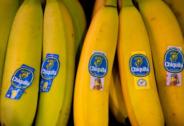 Bananen von Chiquita liegen in einem Supermarktregal in Bayern. (Archivbild) | Foto: Sven Hoppe/dpa Bananen von Chiquita liegen in einem Supermarktregal in Bayern. (Archivbild) | Foto: Sven Hoppe/dpa