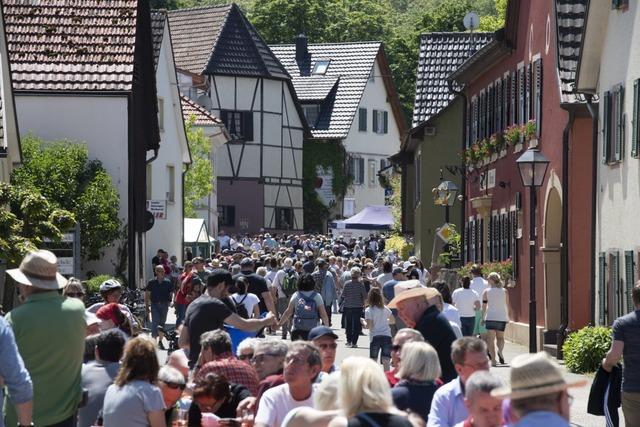 Alle Infos zum Gutedeltag zwischen Mllheim und Staufen am 29. Mai