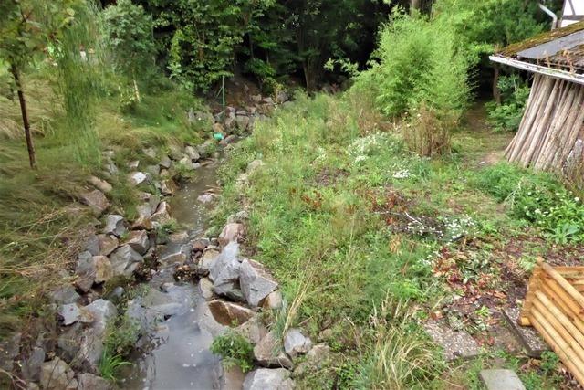 Zwlf Einwendungen liegen schon vor: Anlieger in Windenreute befrchten Hochwasserschden