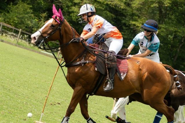 Der Polo-Club Ettikoner Hof veranstaltet am Wochenende ein Turnier in Kssaberg