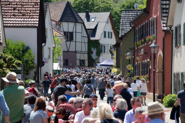Alle Infos zum Gutedeltag zwischen Mllheim und Staufen am 29. Mai