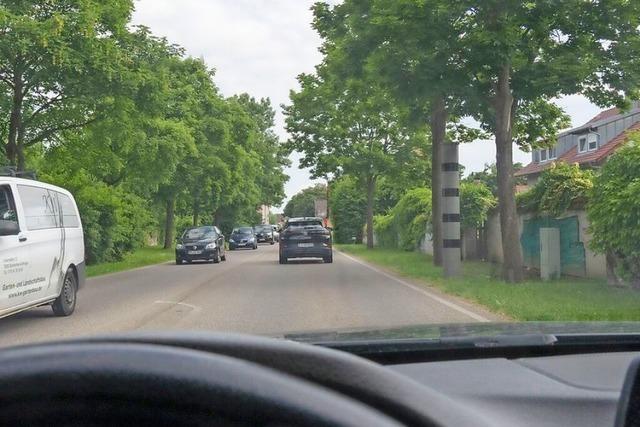 Was der GVV Mllheim-Badenweiler alles tut und einnimmt: vom Waffenschein bis zum Bauantrag