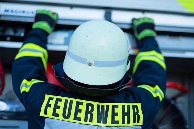Grnes Licht fr neuen Mannschaftstransporter fr die Feuerwehr in Ballrechten-Dottingen