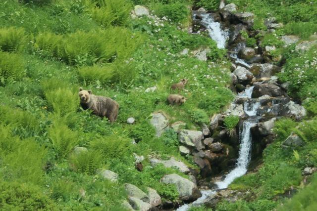 Brenmutter verletzt Mann auf Firmenareal in der Slowakei