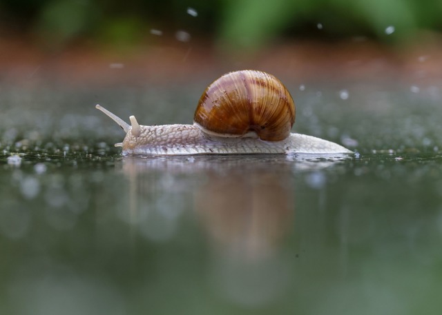 Regen und Wolken bestimmen das Wetter zum Wochenstart. | Foto: Thomas Warnack/dpa Regen und Wolken bestimmen das Wetter zum Wochenstart. | Foto: Thomas Warnack/dpa