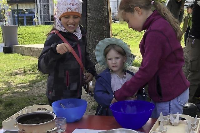 Die Sache mit den Blumen und den Bienen