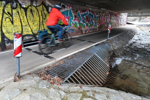 Fischsterben im Kronenmühlebach in Freiburg bleibt ohne strafrechtliche Folgen