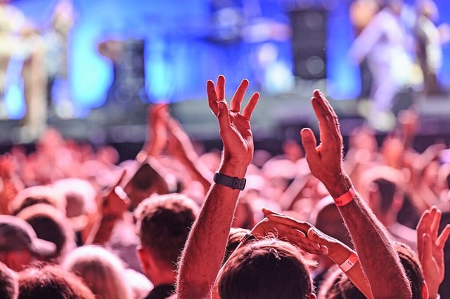 Genießen Sie die Festivalstimmung am Breisacher Rheinufer! | Foto: Reiner Pisterer Genießen Sie die Festivalstimmung am Breisacher Rheinufer! | Foto: Reiner Pisterer