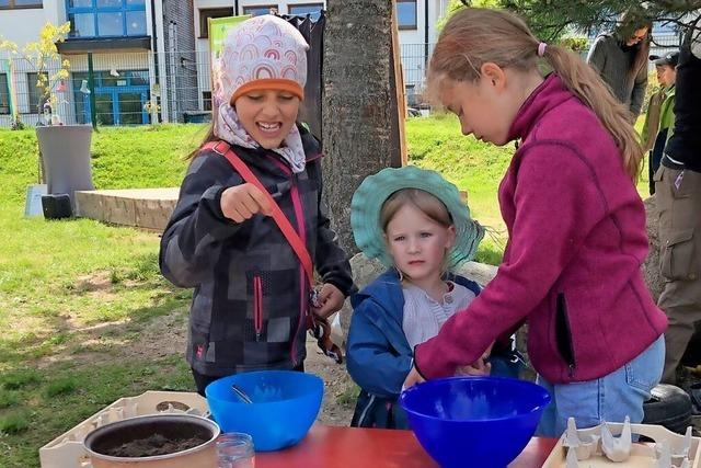 Kinderinsel in Feldberg jetzt offiziell zum Naturpark-Kindergarten erklärt