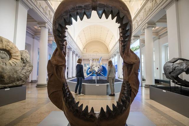 Das Gromaul Megalodon schnappte auch nach kleinen Fischen