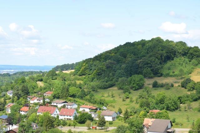 Gemeinderat Inzlingen zögert bei Stallhallenbau auf dem Buttenberg