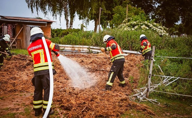 Die Feuerwehr half beim Lschen eines Feuers auf einem Reiterhof in Mengen.  | Foto: Freiwillige Feuerwehr Schallstadt