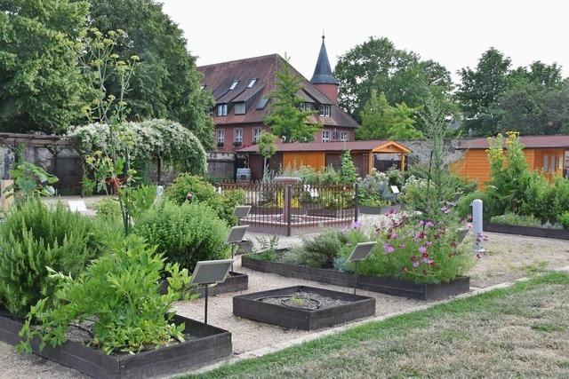 Klostergartenverein feiert am Sonntag seinen Geburtstag mit viel Musik