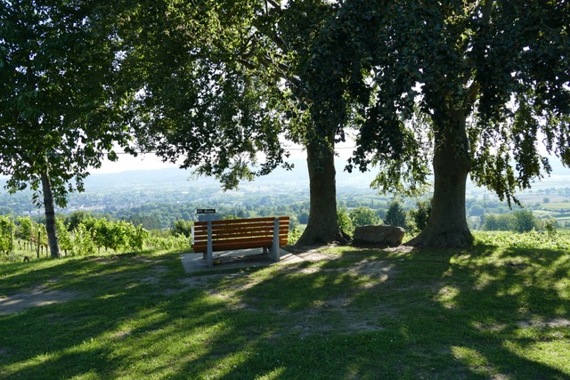 Aussicht und Einkehr am Heuberg  | Foto: Silke Kohlmann