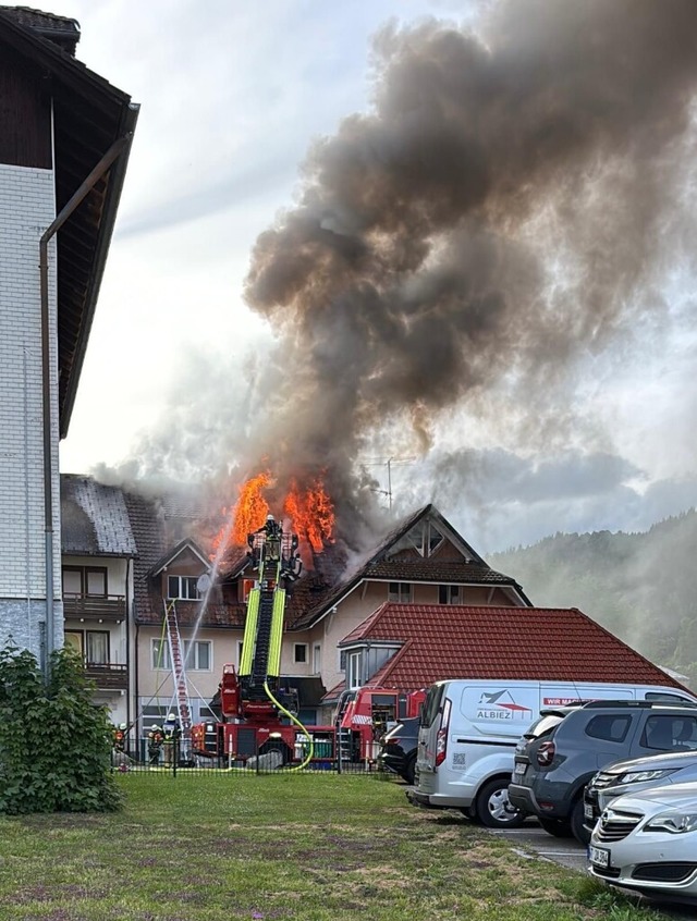 Am Montagabend gegen 19.30 Uhr wurden ...amilienhaus in St. Blasien informiert.  | Foto: Feuerwehr St. Blasien