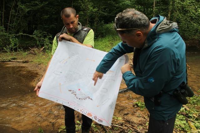 Der renaturierte Iltisgraben in der Teninger Allmend soll Wasser lnger im Wald halten - und Fische schtzen