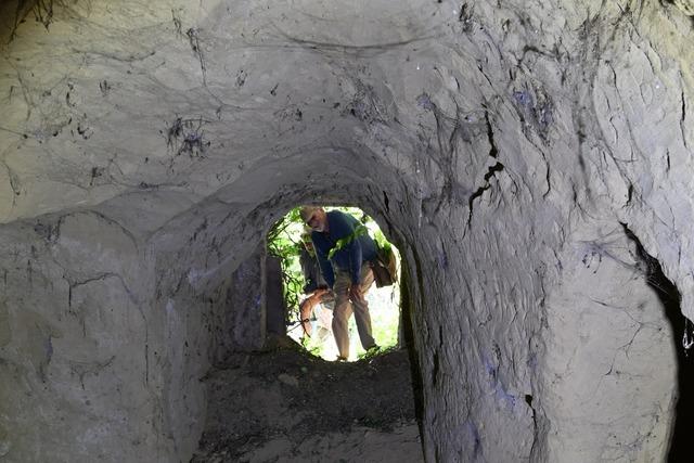 Vogtsburger Lösshöhlen waren früher Vorratslager und in Kriegszeiten Verstecke