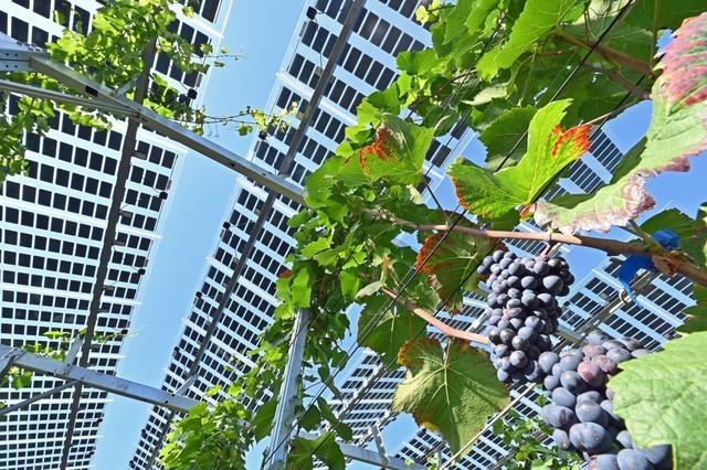 Das Potenzial für PV-Strom in Freiburg ist riesig und doch nur wenig genutzt