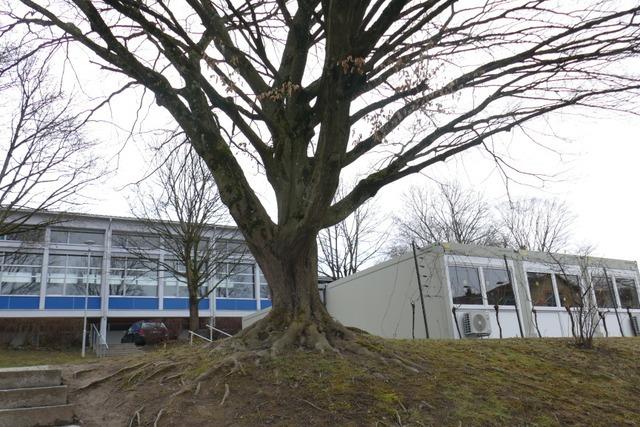 Gemeinderäte im Kreis Emmendingen müssen immer mehr Kompromisse eingehen
