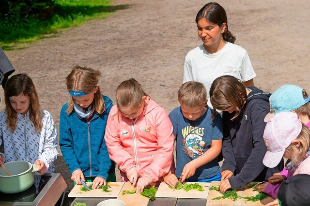 Die Schüler schnippeln Kräuter. | Foto: Wolfgang Scheu Die Schüler schnippeln Kräuter. | Foto: Wolfgang Scheu