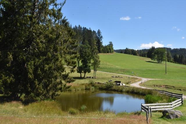 Gemeinderat Titisee-Neustadt revidiert Beschluss zu Löschwasserkonzept