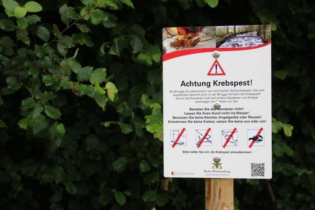 Offener Brief enthält Kritik am Umgang mit der Krebspest