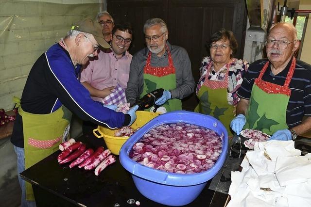 Dem Ruf des Rettichs nach Schwrstadt gefolgt