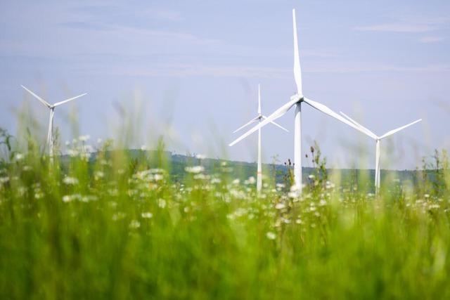 Todtmoos zufrieden mit Plänen für weniger Windenergie-Vorranggebiete