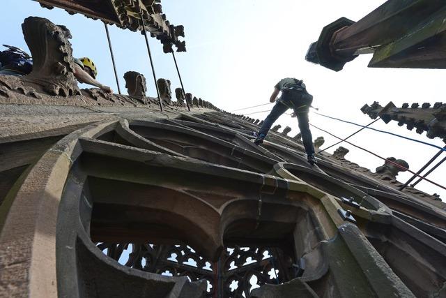 Am Freiburger Münster startet am Montag wieder das Monitoring