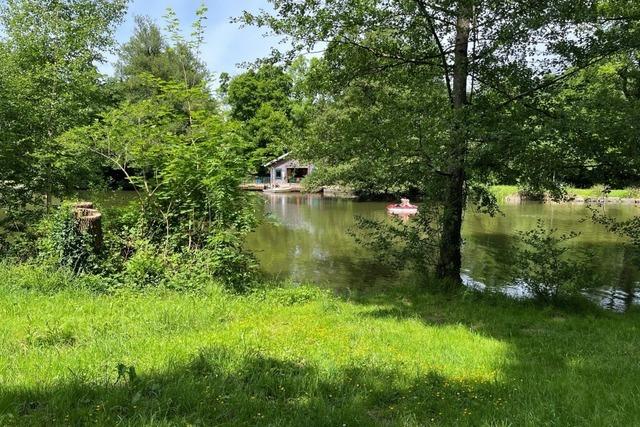 Ode an den Freiburger Waldsee: Von Jazz-Gren, Jagdhorn-Blsern und Techno-Beats