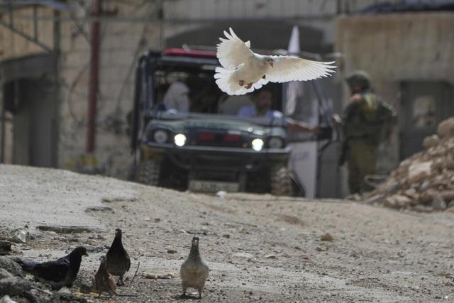 Newsblog: US-Vorschlag fr Gaza-Waffenruhe weckt leichte Hoffnung