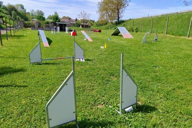 Renate Wiesler-Grauer feiert zehn Jahre Hundeschule in Kleinkems und stärkt die Mensch-Hund-Bindung