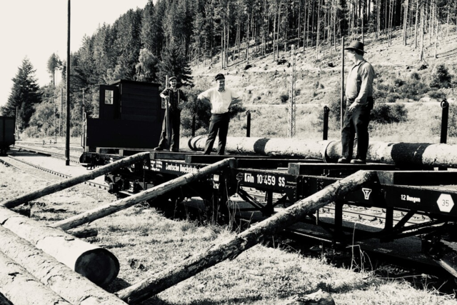 Wie einst 1956 wird am Wochenende Holz im Hochschwarzwald gemacht