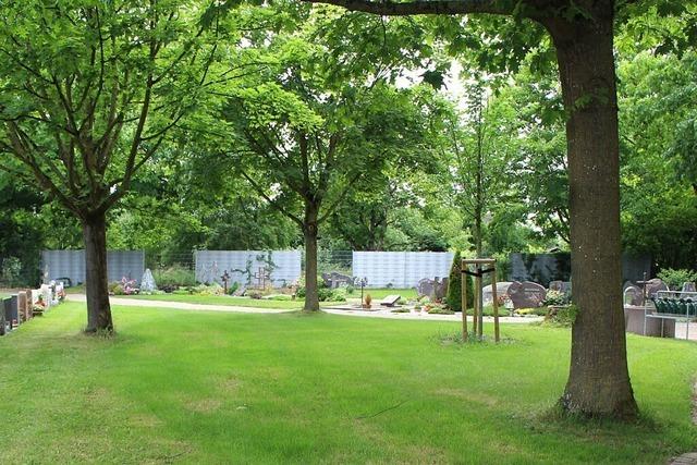 Auf dem Friedhof in Ichenheim soll ein neues Feld für Urnenrasengräber entstehen