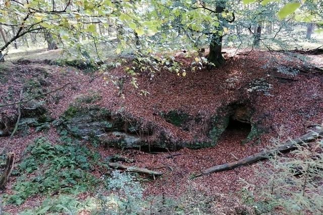 Wanderung: Sagenhafte Wanderung durch die Emmelkmper Mark