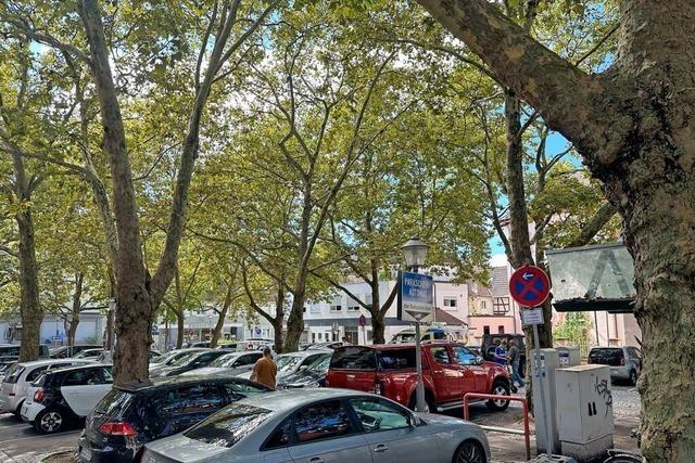 Die Stadt Offenburg lädt zum Hitzeaktionstag ein