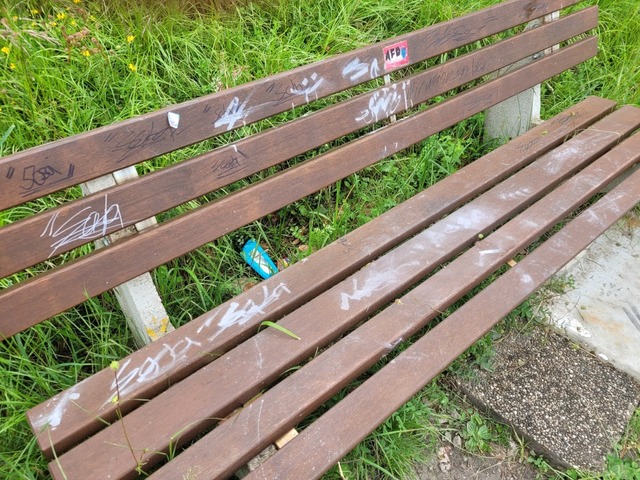 "Als jugendlicher Leichtsinn ist ...er politisch motivierten Straftat aus. | Foto: Karin Lischer "Als jugendlicher Leichtsinn ist ...er politisch motivierten Straftat aus. | Foto: Karin Lischer