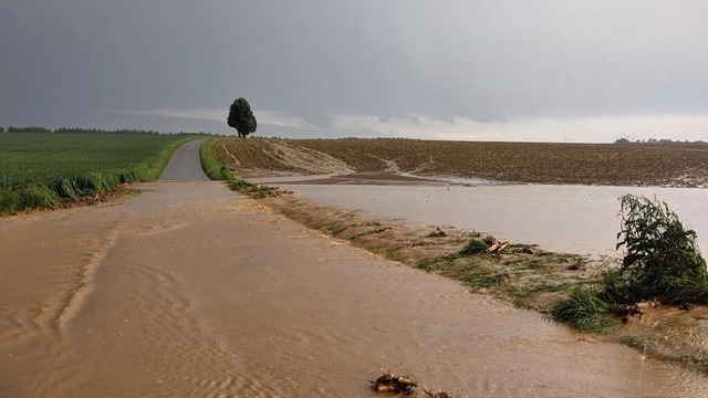 Oberflächenwasser läuft nach einem sta...uer über einen Weg im Alb-Donau-Kreis. | Foto: Simon Zeiher (dpa) Oberflächenwasser läuft nach einem sta...uer über einen Weg im Alb-Donau-Kreis. | Foto: Simon Zeiher (dpa)
