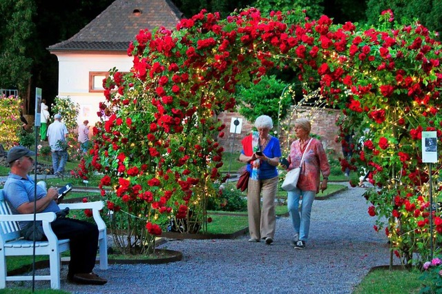 Eine zarte Beleuchtung sorgt im Roseng...nabend fr eine besondere Stimmung.     | Foto: Heidi Fel