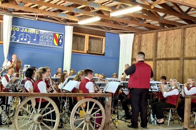 Beim Sommerfest des Musikvereins Sallneck herrscht gute Stimmung