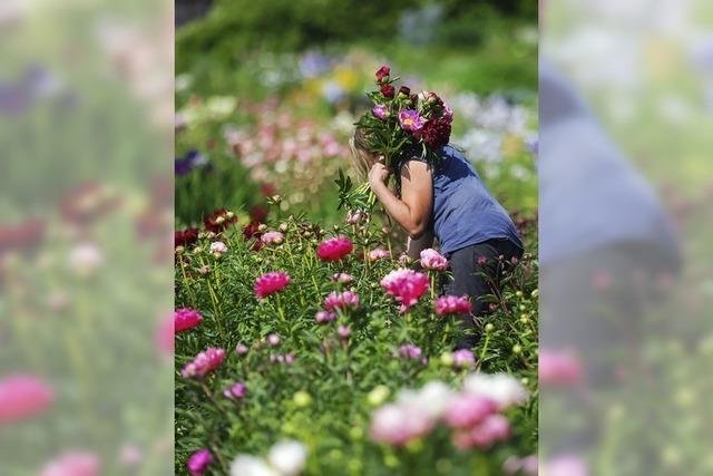 Sommerliches Intermezzo
