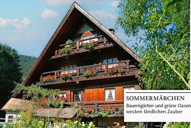 Zum BZ-Card-Vorteilspreis: Sommer-Abo von 